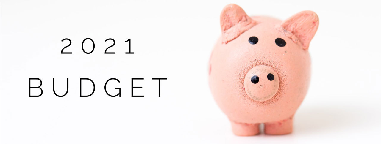 Piggy image and text Budget 2021